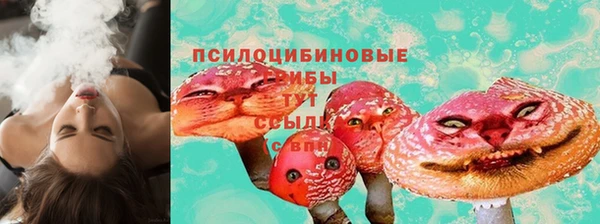 соль ск Кинешма
