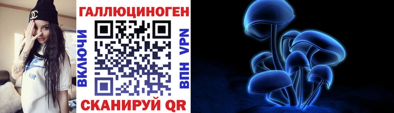 Купить закладки Люберцы Галлюциногенные грибы Psilocybe